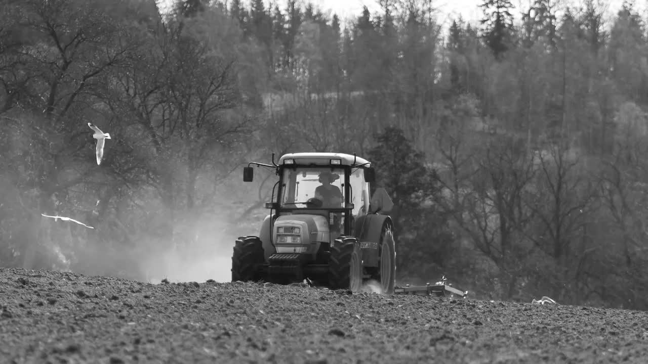 Tractor plowing the field