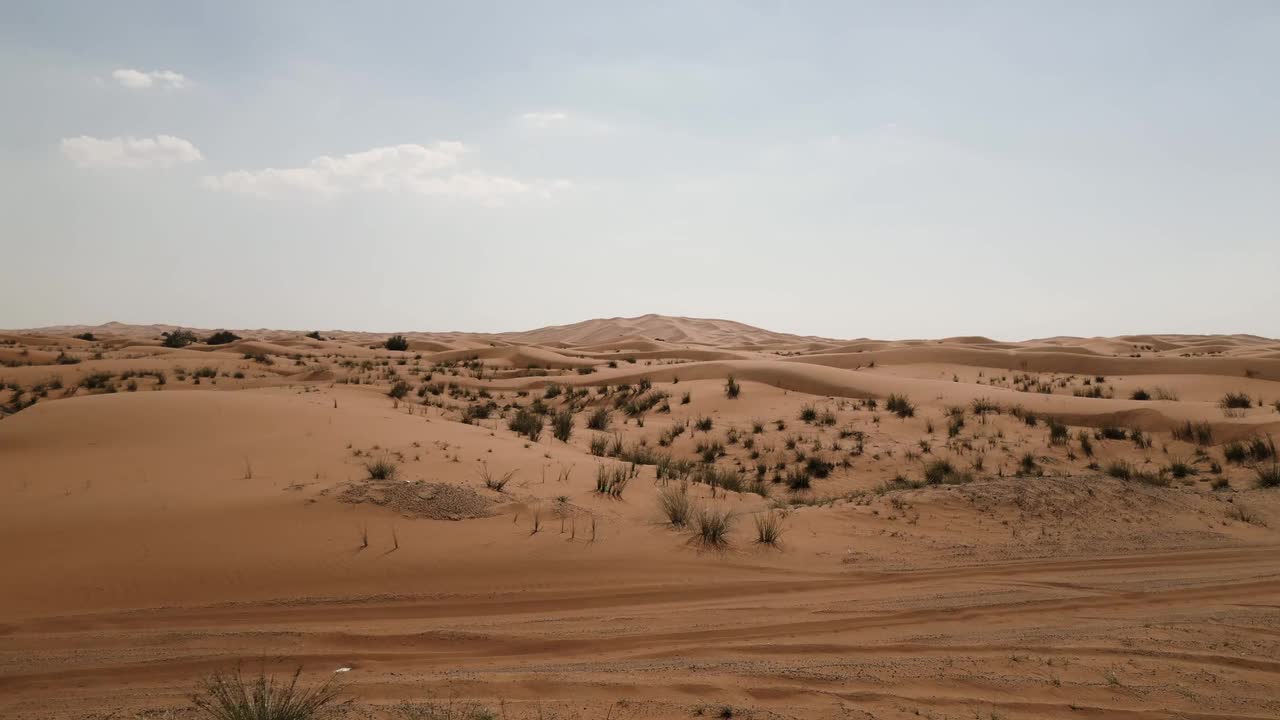 Desert in the afternoon